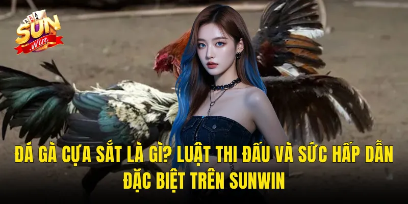 Đá Gà Cựa Sắt Là Gì? Luật Thi Đấu Và Sức Hấp Dẫn Đặc Biệt Trên Sunwin