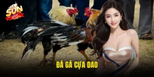 đá gà cựa dao