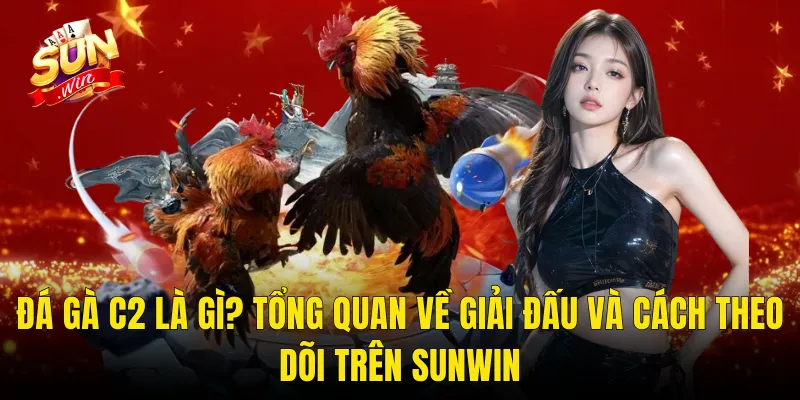 Đá Gà C2 Là Gì? Tổng Quan Về Giải Đấu Và Cách Theo Dõi Trên Sunwin